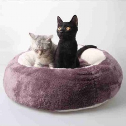 new pet bed  for dog and cat