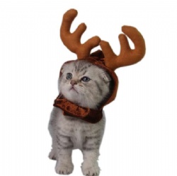 Pet Cat Christmas Deer Hat