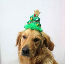 High quality pet dog Christmas tree hat